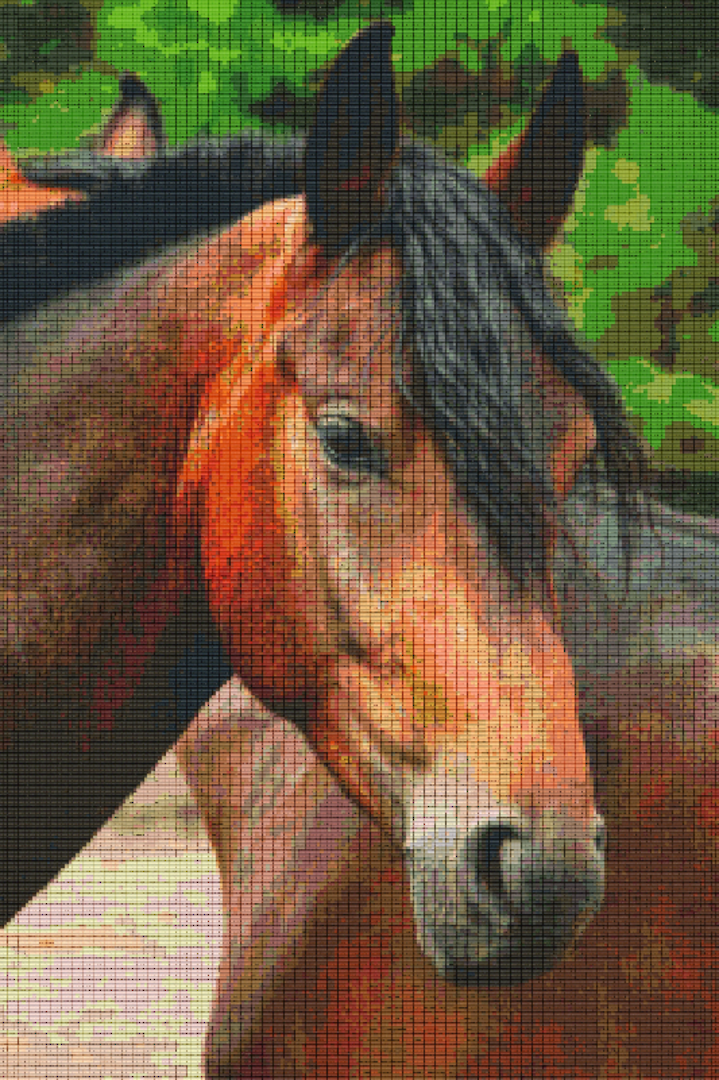 Horse Thirty [30] Baseplate PixelHobby Mini-mosaic Art Kit image 0